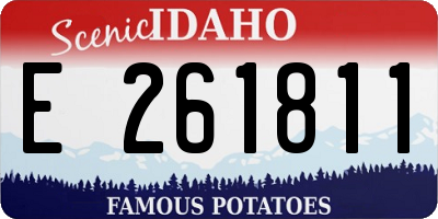 ID license plate E261811