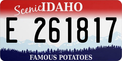 ID license plate E261817
