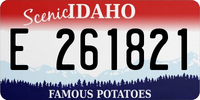 ID license plate E261821