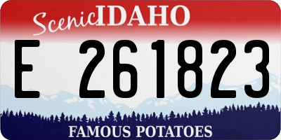 ID license plate E261823