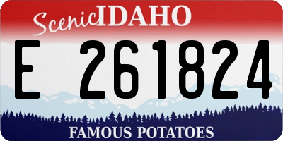 ID license plate E261824