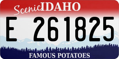 ID license plate E261825