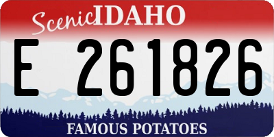 ID license plate E261826