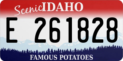 ID license plate E261828