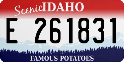 ID license plate E261831