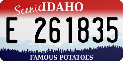 ID license plate E261835