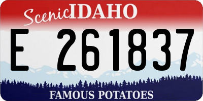 ID license plate E261837
