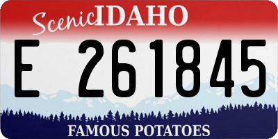 ID license plate E261845