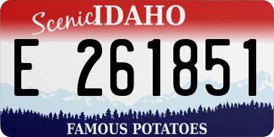 ID license plate E261851