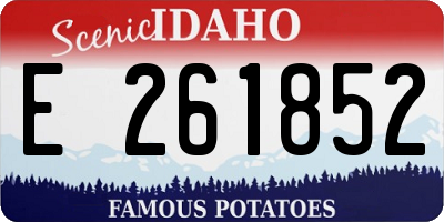 ID license plate E261852