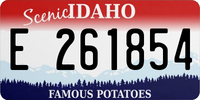 ID license plate E261854