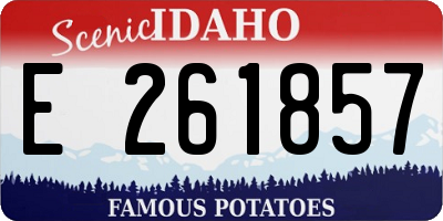 ID license plate E261857