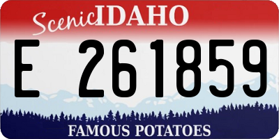 ID license plate E261859