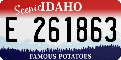 ID license plate E261863