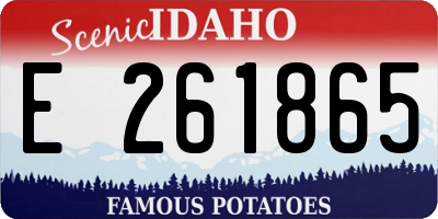 ID license plate E261865