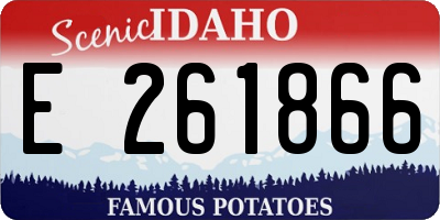 ID license plate E261866