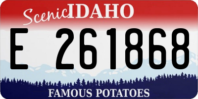 ID license plate E261868