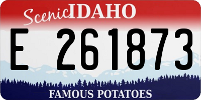 ID license plate E261873