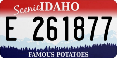 ID license plate E261877