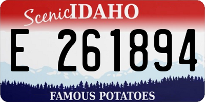 ID license plate E261894