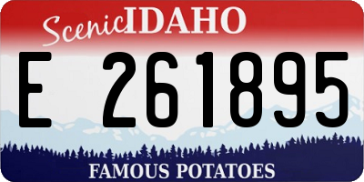 ID license plate E261895