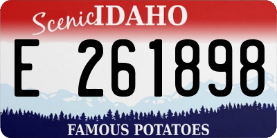 ID license plate E261898