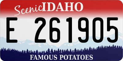 ID license plate E261905