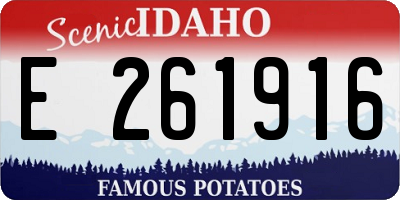 ID license plate E261916