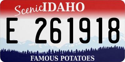 ID license plate E261918