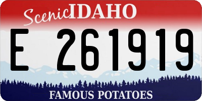 ID license plate E261919