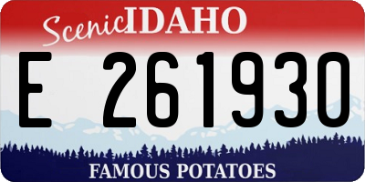 ID license plate E261930