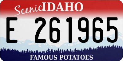 ID license plate E261965