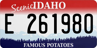 ID license plate E261980