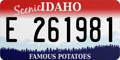 ID license plate E261981