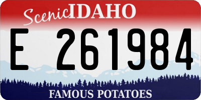 ID license plate E261984