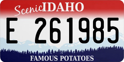ID license plate E261985