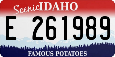 ID license plate E261989