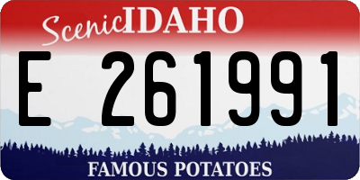 ID license plate E261991