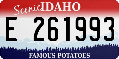 ID license plate E261993