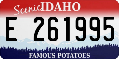 ID license plate E261995