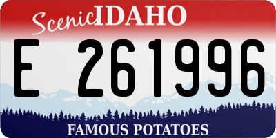 ID license plate E261996