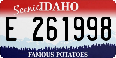 ID license plate E261998