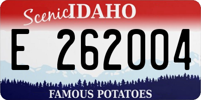 ID license plate E262004