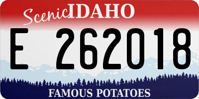 ID license plate E262018