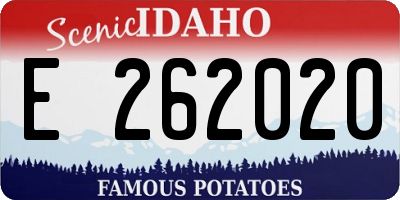 ID license plate E262020