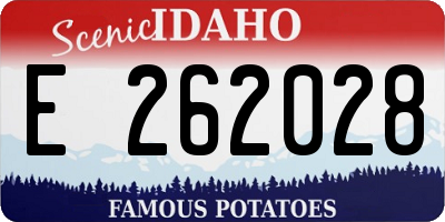 ID license plate E262028