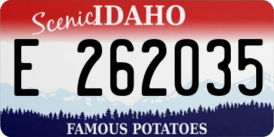 ID license plate E262035