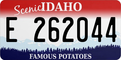ID license plate E262044