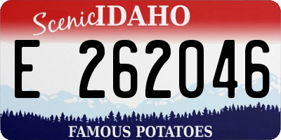 ID license plate E262046