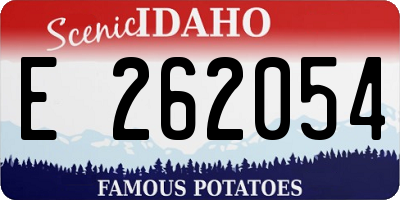 ID license plate E262054